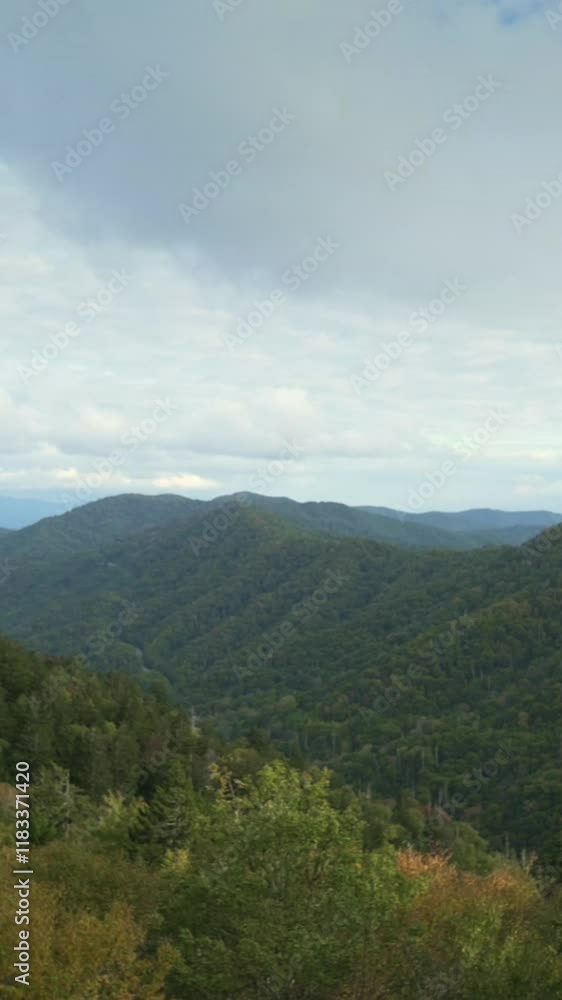 Vertical screen Lush Green Expansive View of Smoky Mountains Valleys, USA sweeping landscape Smoky Mountains with lush green valleys dense forests under cloudy sky, showcasing region's natural beauty. Vertical screen Lush Green Expansive View of Smoky Mountains Valleys, USA sweeping landscape Smoky Mountains with lush green valleys dense forests under cloudy sky, showcasing region's natural beauty.