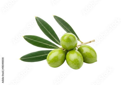 Wallpaper Mural A small branch of green olives with dark green leaves, isolated on white background Torontodigital.ca