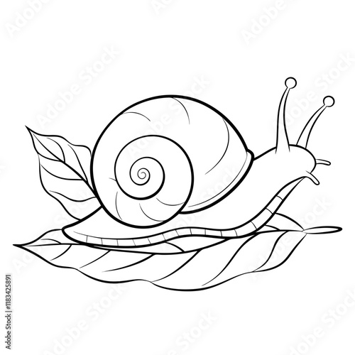 snail