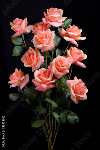 Wallpaper Mural Rose flower petal plant. Torontodigital.ca