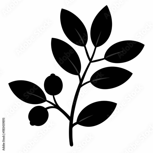 Black Barberry Silhouette - Crisp Vector Illustration