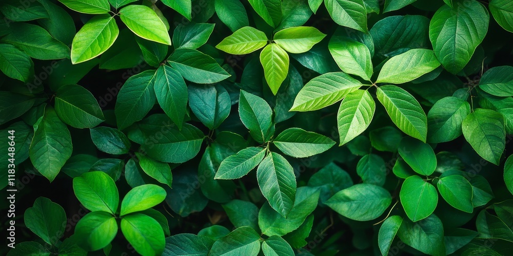 Stunning natural background featuring vibrant green leaves, creating a serene atmosphere. This beautiful natural background highlights the lushness of green leaves in a tranquil setting. Stunning natural background featuring vibrant green leaves, creating a serene atmosphere. This beautiful natural background highlights the lushness of green leaves in a tranquil setting.