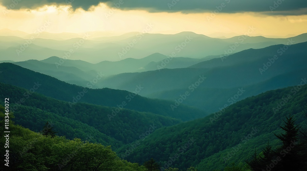 Fototapeta premium Aerial view of the lush green hills covered in green trees and dense forests 