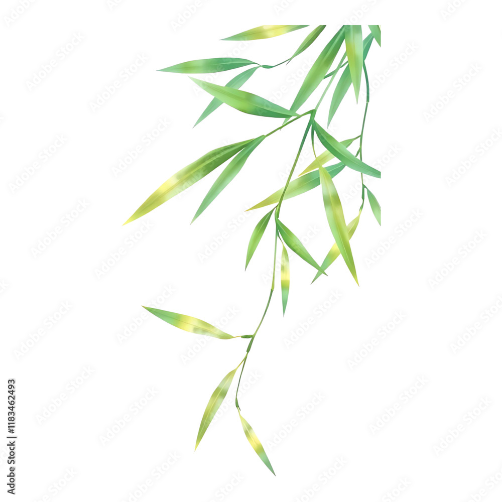 Fototapeta premium Delicate bamboo leaves arranged in an artistic style.