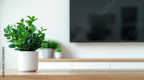 Wallpaper Mural Minimal furniture idea. Minimalist indoor plant in modern decor environment, bringing nature indoors effortlessly. Torontodigital.ca