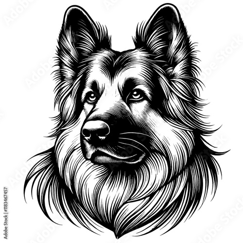 Hand drawn German Shepherd portrait, vector sketch isolated on white background, SVG vector	