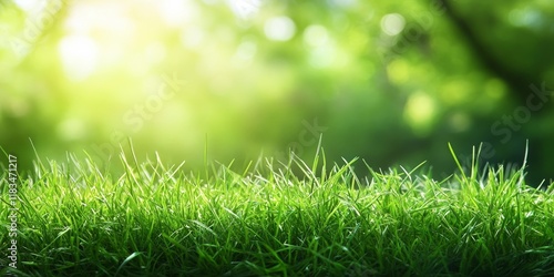 Vibrant bright green grass background offers a serene and refreshing setting, perfect for various creative projects showcasing the beauty of bright green grass in nature.