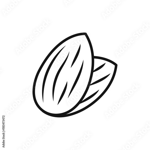 Almond icon Isolated flat vector in outline