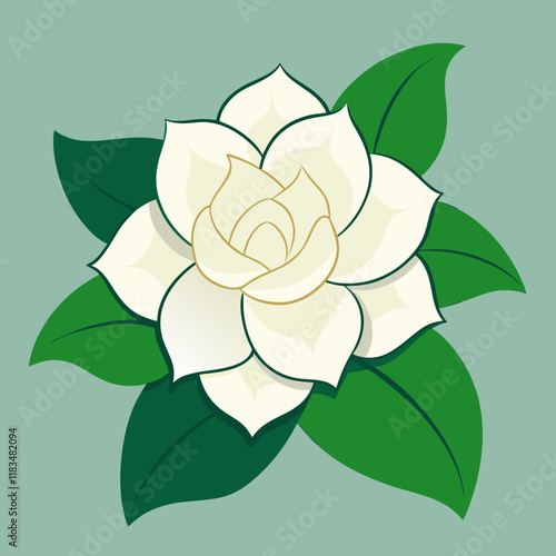 Gardenia Flower Vector Illustration with Green Leaves, Elegant Floral Design