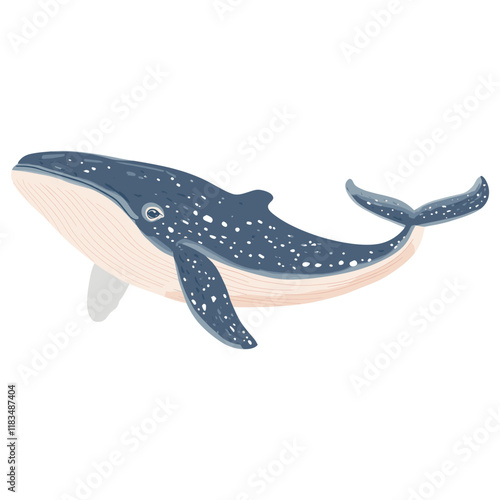 Whale illustration animal majestic vector