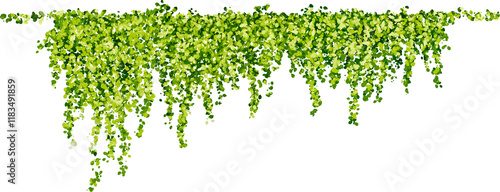 Hanging plants in watercolor style with green leaves