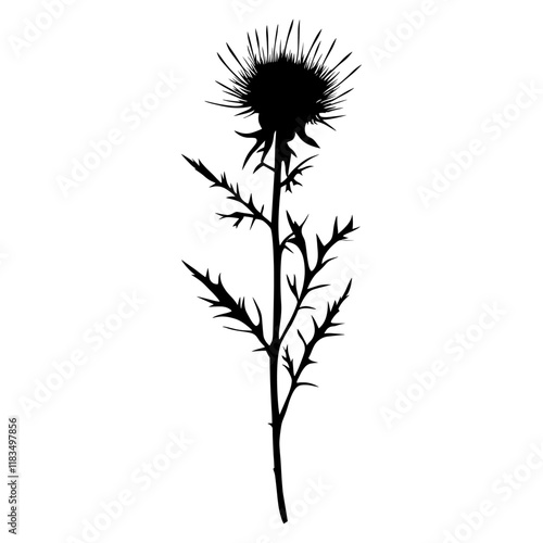 Wallpaper Mural Wild flower Canada Thistle thistle illustration silhouette vector Torontodigital.ca