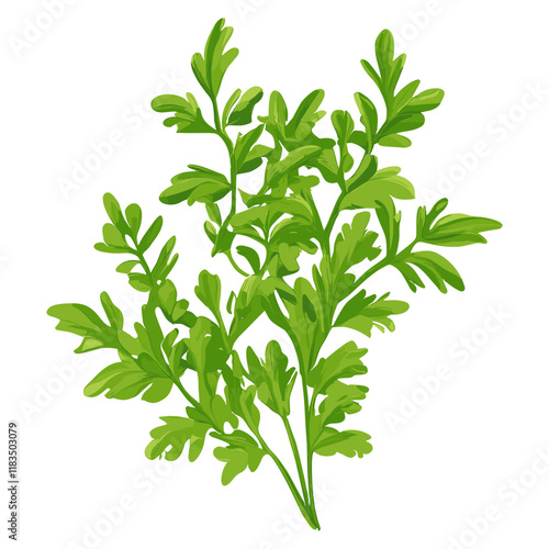 Culinary chives leaf Icons herbs illustration culinary vector