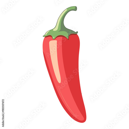 Red chili illustration vegetable pepper vector