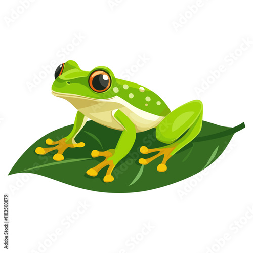 Mint Green Frog Sitting frog illustration wildlife vector