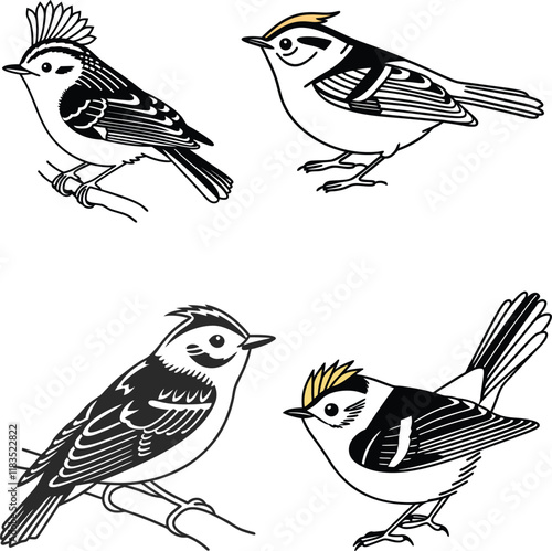 Goldcrest bird bundle line art and illustrator eps