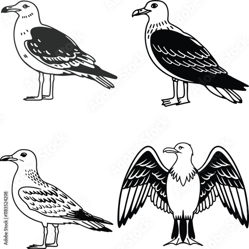 Gull bird bundle line art and illustrator eps