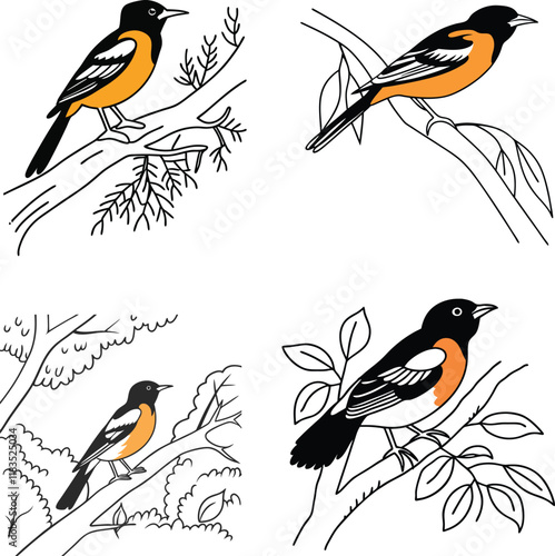 Oriol bird bundle line art and illustrator eps