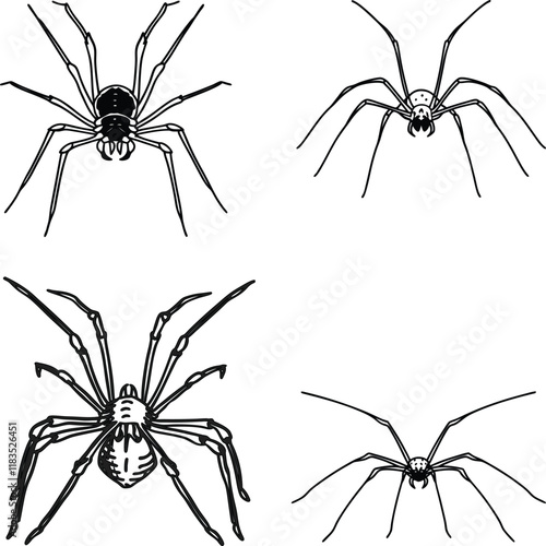 Harvestman line art and illustrator eps