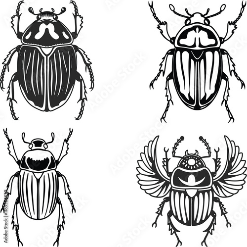  Scarab bundle line art and illustrator eps