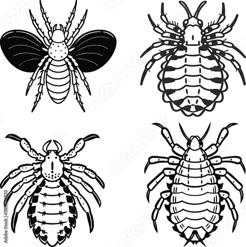 Louse bundle line art and illustrator eps