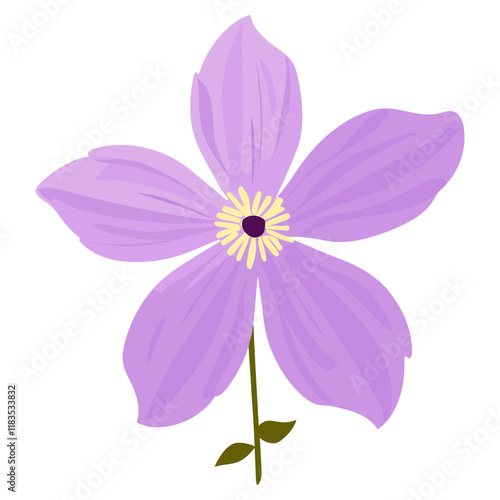 Clematis flower illustration purple art vector