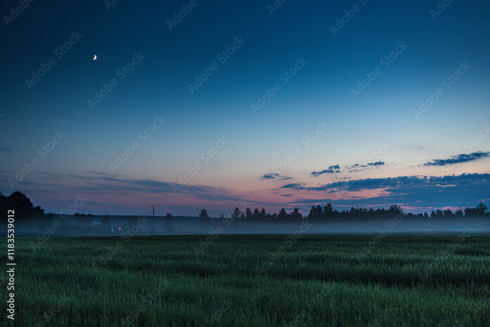 Fototapeta premium Night view of field with moon on the sky and fog