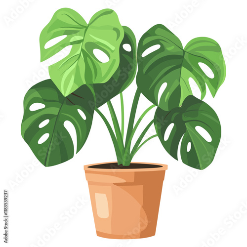 Monstera potted plant illustration leaf houseplant vector