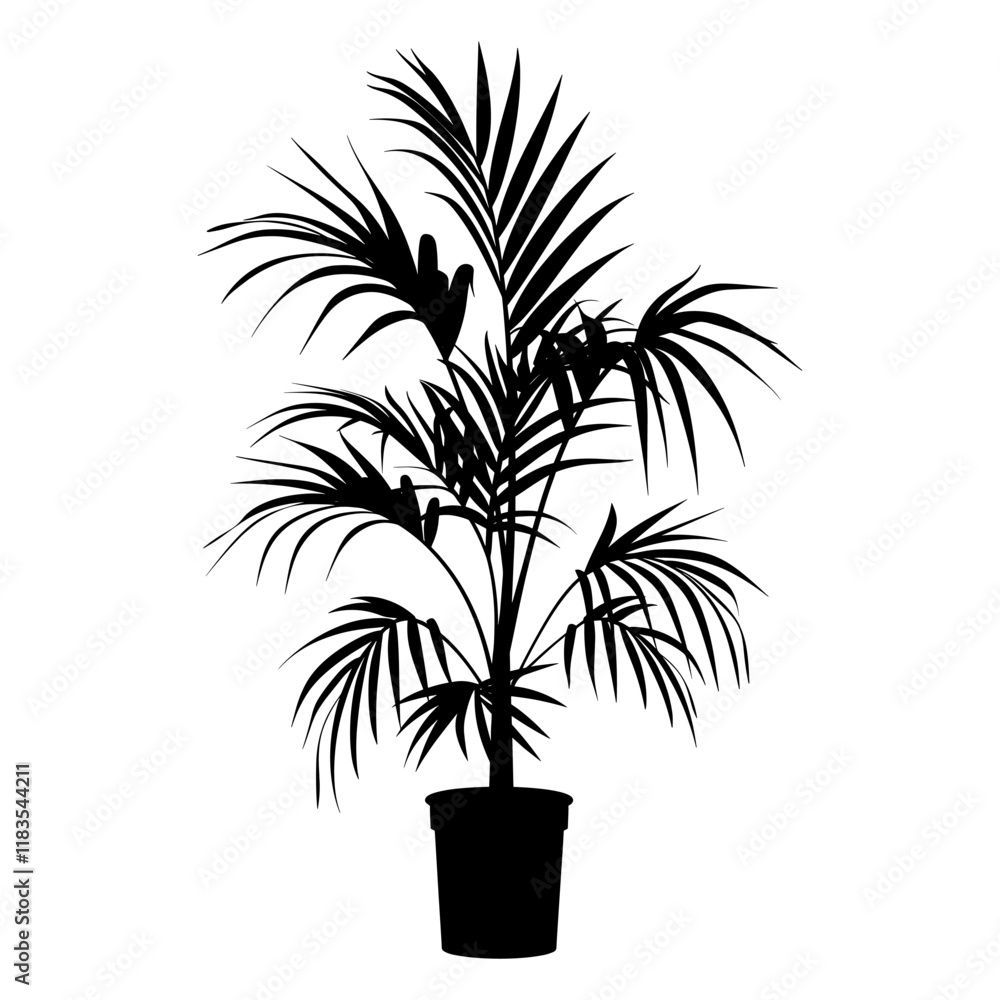 Fototapeta premium Potted plant with areca palm silhouette potted black vector