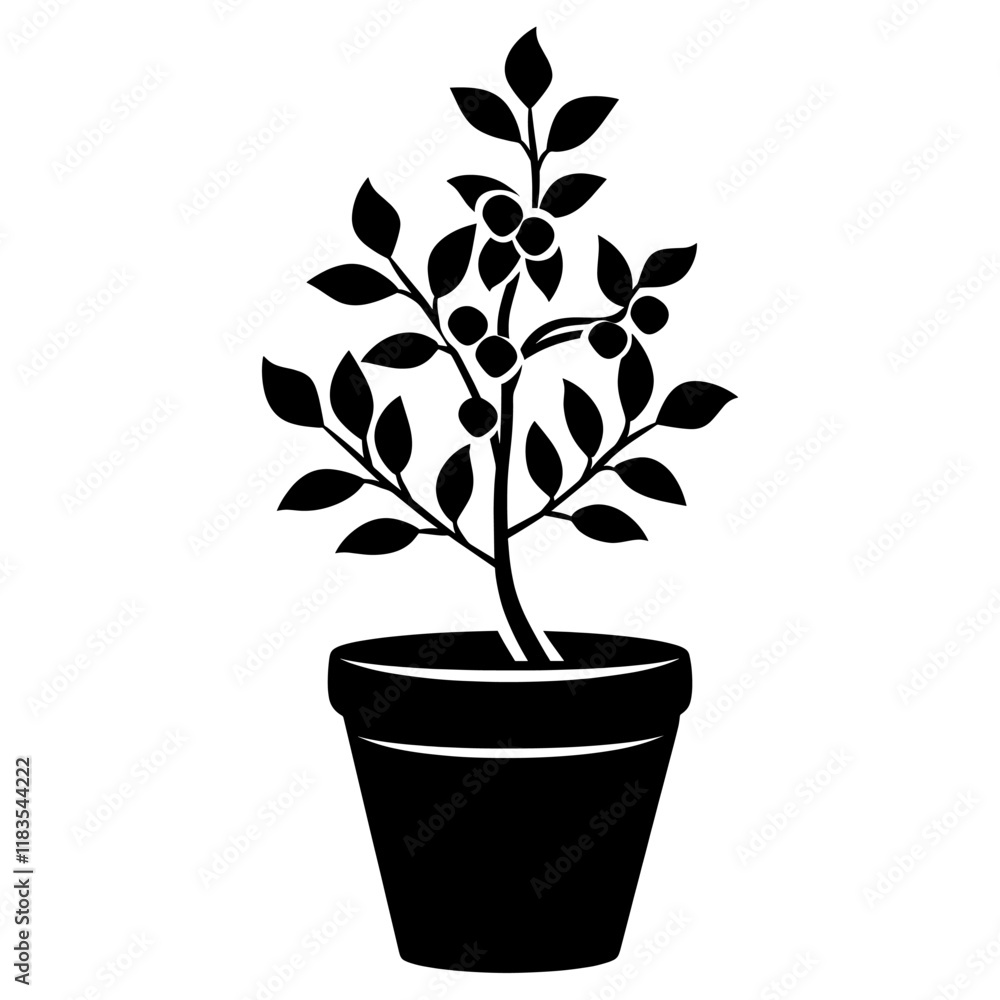 Potted plant with mistletoe silhouette leaves simple vector Potted plant with mistletoe silhouette leaves simple vector