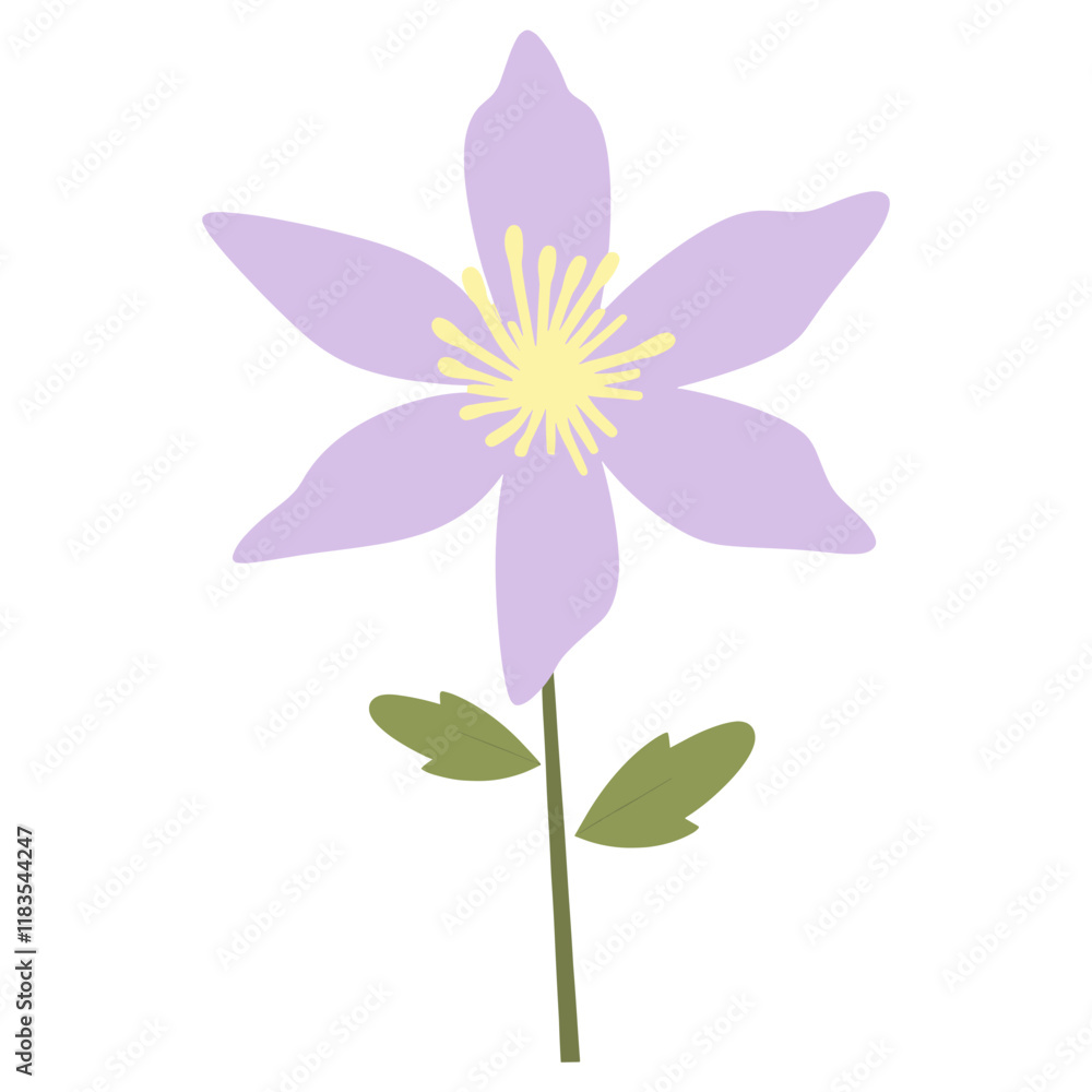 Naklejka premium Columbine flower illustration petal art vector