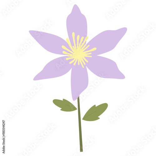 Columbine flower illustration petal art vector