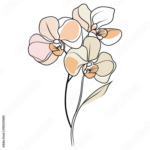 Orchid drawing flowers line vector