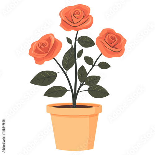Rose flower potted plant roses illustration terracotta vector