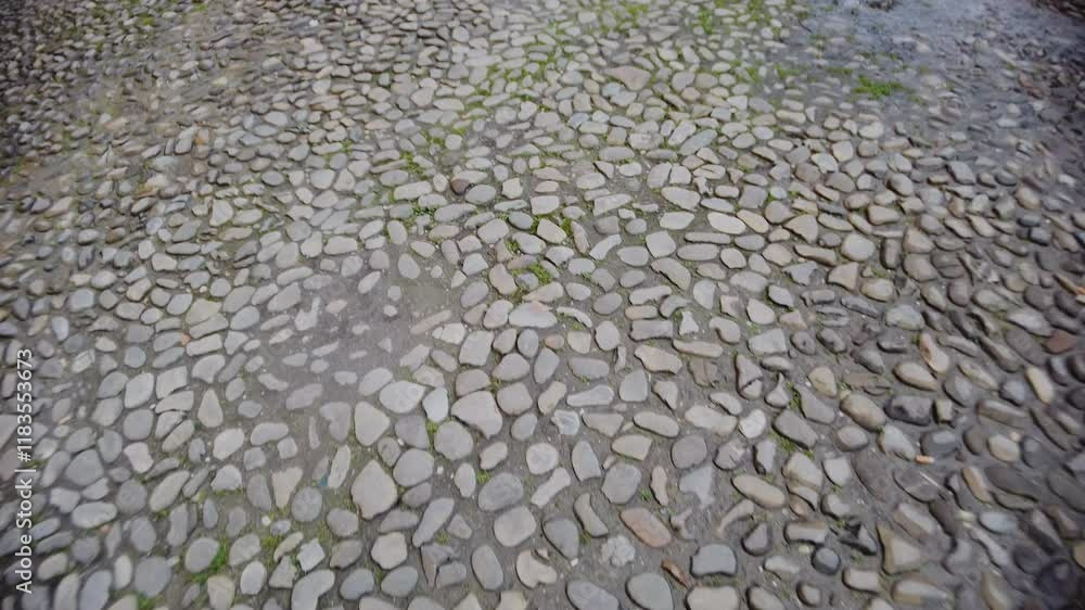 This video showcases a cobblestone road with closeups, featuring leopard print patterns, rainwater pooling, and emerging grass, highlighting natures resilience This video showcases a cobblestone road with closeups, featuring leopard print patterns, rainwater pooling, and emerging grass, highlighting natures resilience