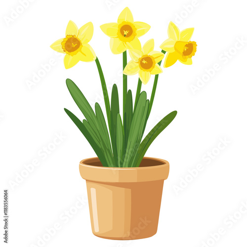 Daffodils flower potted plant flowers illustration spring vector