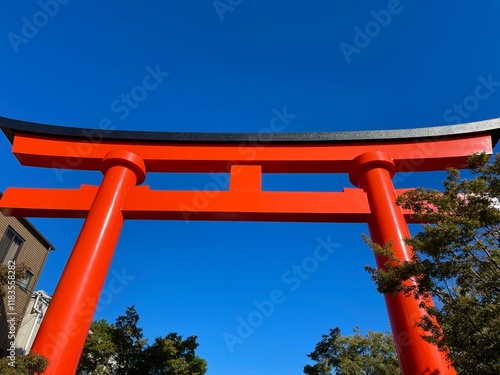 京都伏見稲荷大社で青空に映える朱色の鳥居
 photo