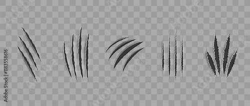 Cat scratch. Realistic set of animal claw marks isolated on transparent background. Black marks of cats tiger lion or wild animals. Flat vector illustration.