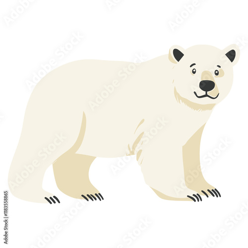 Polar bear illustration wildlife animal vector