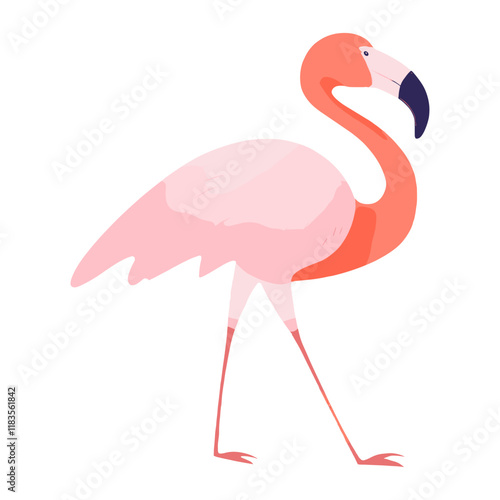 Flamingo listen music animal bird beak vector