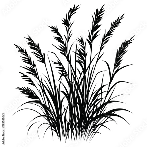 Silhouette grass illustration plant vector
