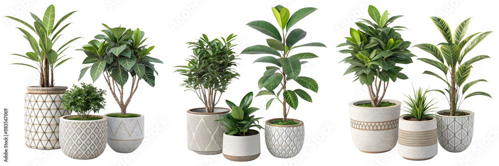Fototapeta premium Collection of potted plants, isolated on white background, 3D render, home decor, interior design, Plant pots, houseplants, 3D rendering