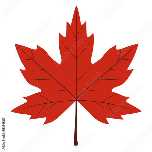 Autumn leaves maple leaf illustration vector