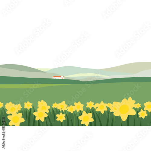 Focusing on Daffodil meadows in golden yellow and pale green daffodils landscape flowers vector