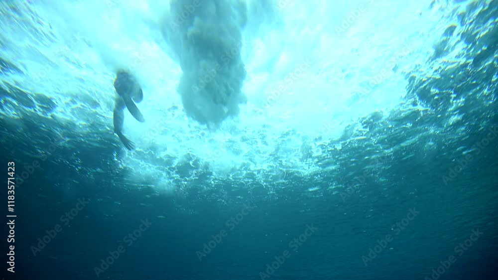 Watch young sea lions swim and frolic beneath a mesmerizing waterfall. This rare glimpse into nature showcases their playful antics in clear blue water, highlighting their agility Watch young sea lions swim and frolic beneath a mesmerizing waterfall. This rare glimpse into nature showcases their playful antics in clear blue water, highlighting their agility