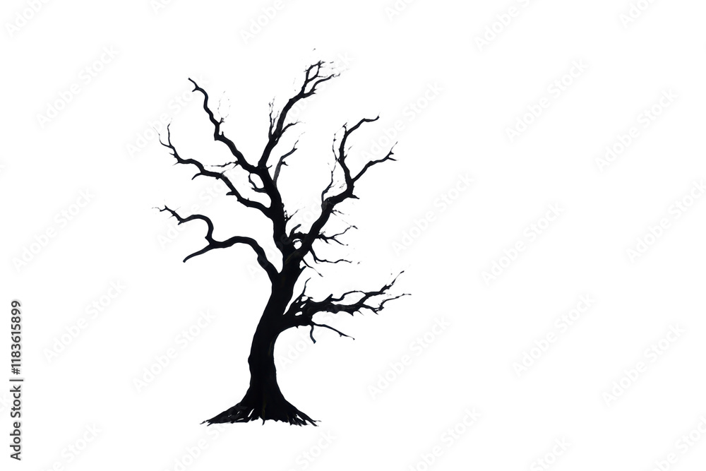 Fototapeta premium Black Bare Tree Silhouette Isolated on PNG Background