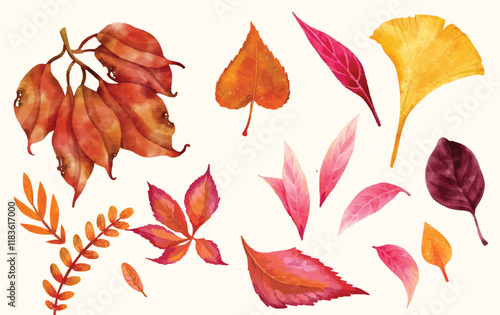 Capture the essence of summer with this stunning collection of leaves showcasing a vibrant palette of red, yellow, and orange hues