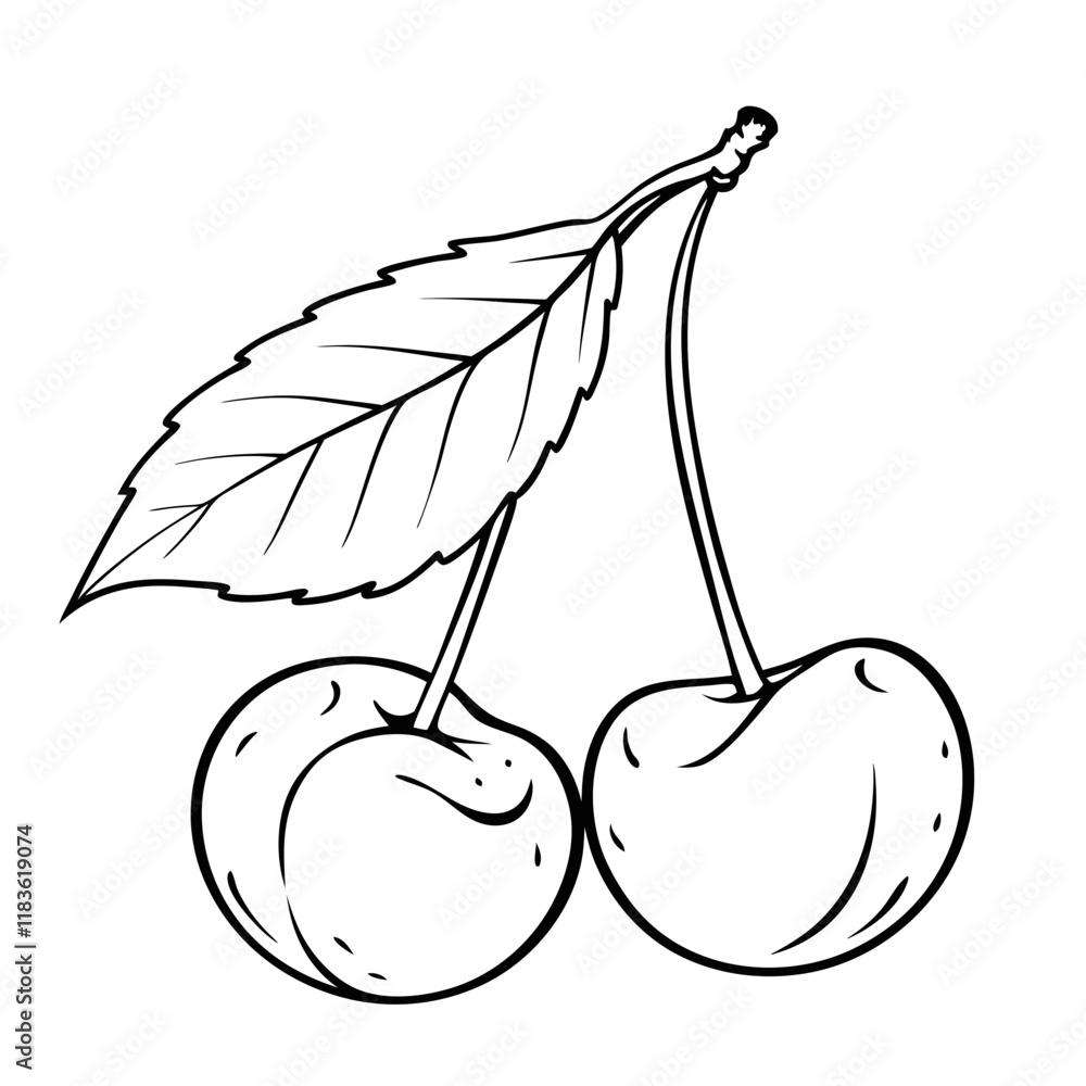 custom made wallpaper toronto digitalCherries