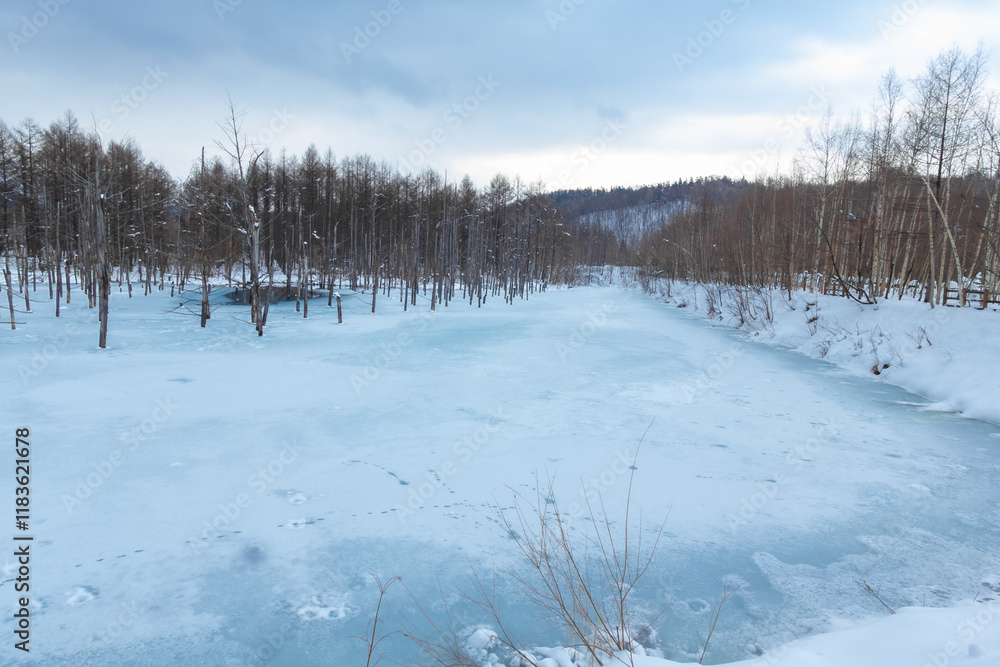 The blue pond is a blessing that came about by accident. Located near Biei town, it was built to prevent damage from mudslides from Mt. Tokachi. The color of the pond ranges from turquoise to emerald The blue pond is a blessing that came about by accident. Located near Biei town, it was built to prevent damage from mudslides from Mt. Tokachi. The color of the pond ranges from turquoise to emerald