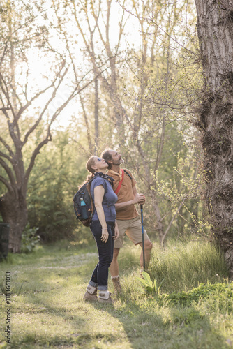 Hikers observing nature in madrid's paseo de los castanos park photo